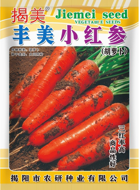 阳台田园蔬菜种子三红胡萝卜