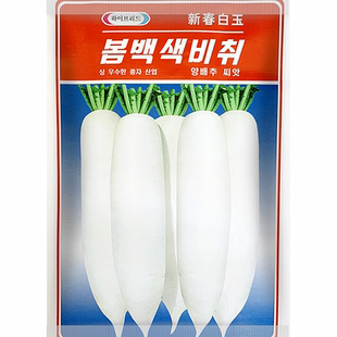 新白玉春萝卜种子 原装5克 耐抽苔白萝卜籽 春秋萝卜蔬菜种子