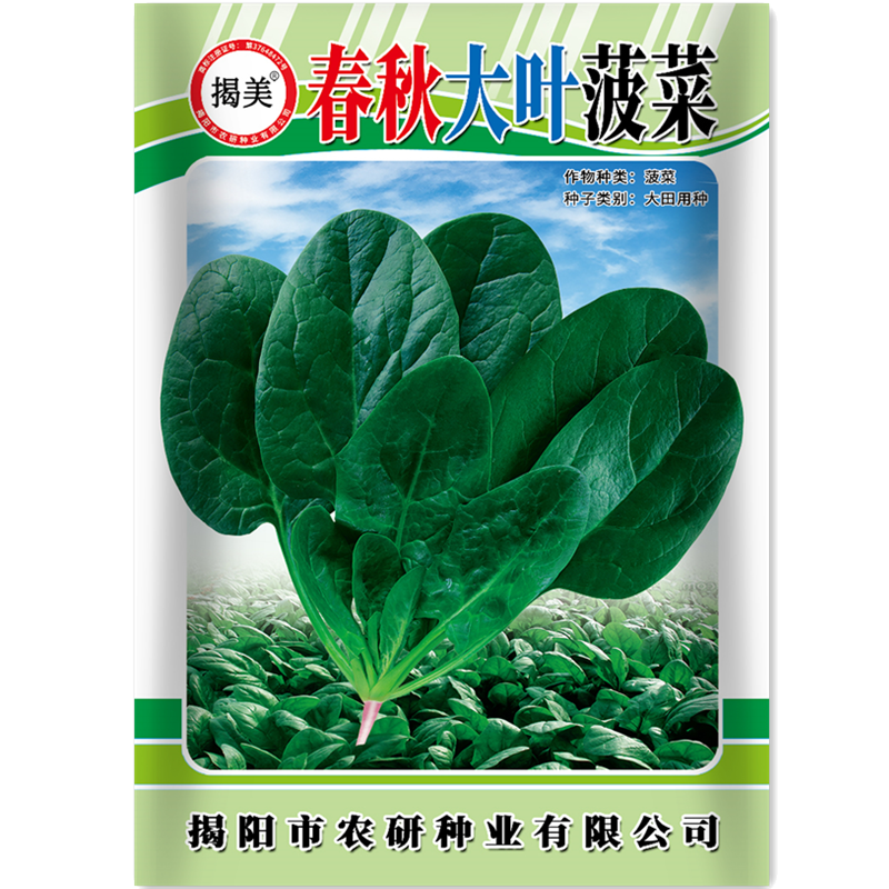 揭美春秋大叶菠菜种子 耐寒抗热菠菜籽 阳台田园种植蔬菜种子20克,鲜花速递/花卉仿真/绿植园艺,家庭园艺种子,淘宝优惠券,粉丝福利购,淘宝优惠卷