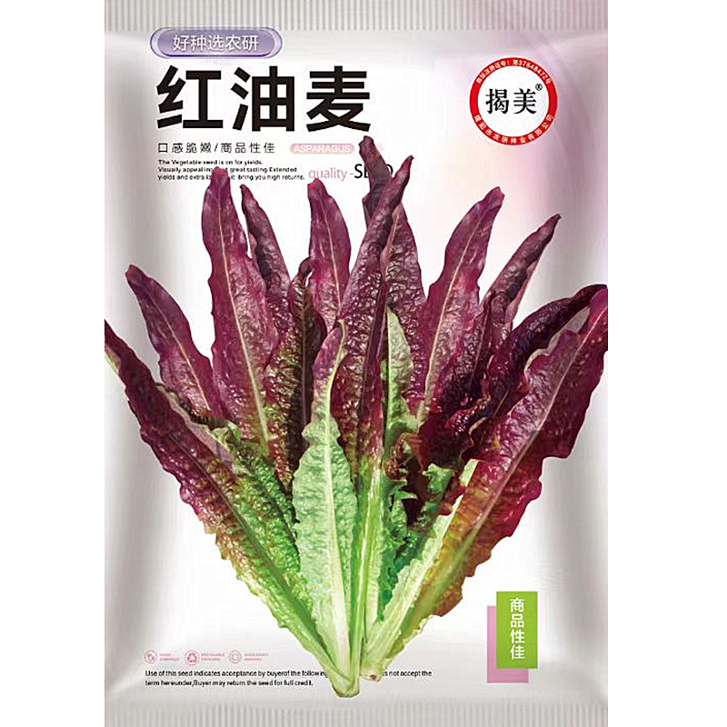 揭美红油麦菜种子脆嫩尖叶红油麦菜籽阳台农业蔬菜种子2000粒装-封面