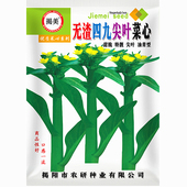 蔬菜种子 400克20克无渣四九尖叶油青菜心种子 阳台农业大田可种
