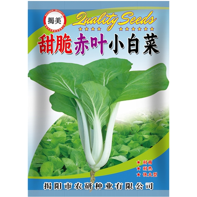 赤叶甜脆耐热四季易种小白菜
