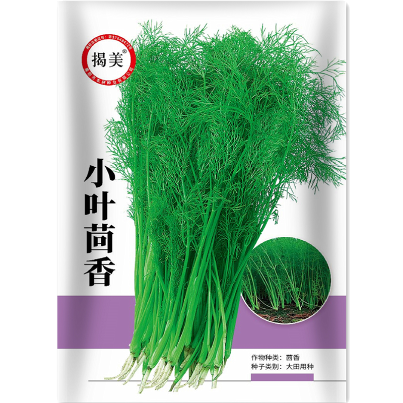 揭美小叶茴香种子 多次采收割茬茴香籽 小茴香蔬菜种子1000粒装,农用物资,蔬菜种子/种苗,淘宝优惠券,粉丝福利购,淘宝优惠卷