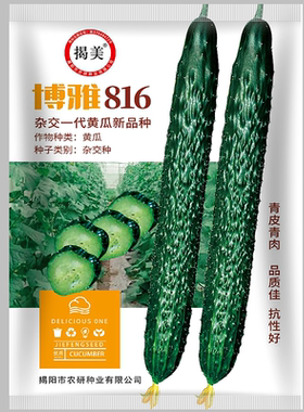 博雅816黄瓜种子油亮密刺一代