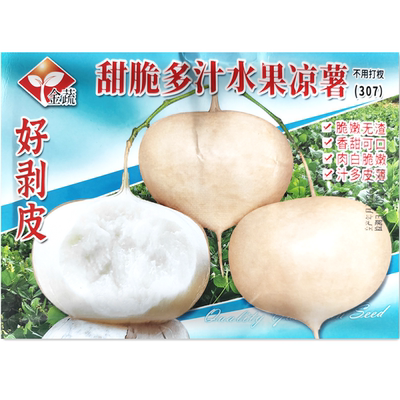 甜脆多汁水果凉薯种子 地瓜凉瓜土瓜籽 早熟高产沙葛蔬菜种子15克