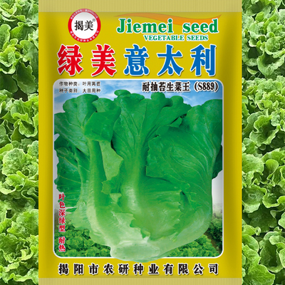 绿美意太利生菜种子25克深绿爽脆