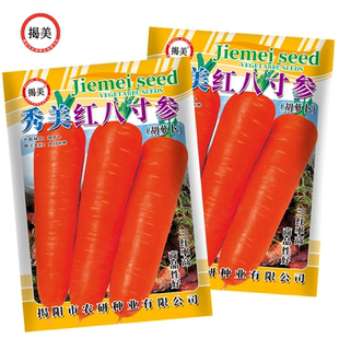 八寸参胡萝卜种子 红肉萝卜三红胡萝卜 秋播阳台田园萝卜蔬菜种子