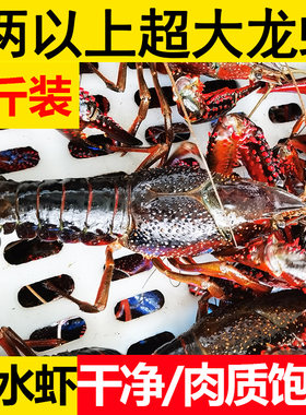 1两以上特大炮头盱眙小龙虾3斤