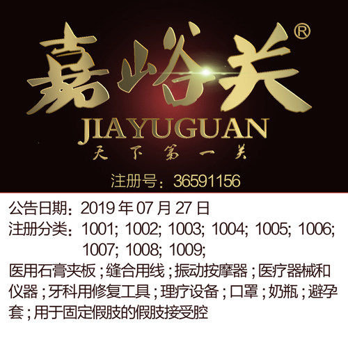 10类《嘉峪关》医用外科理疗设备器械奶瓶假牙避孕套商标出售