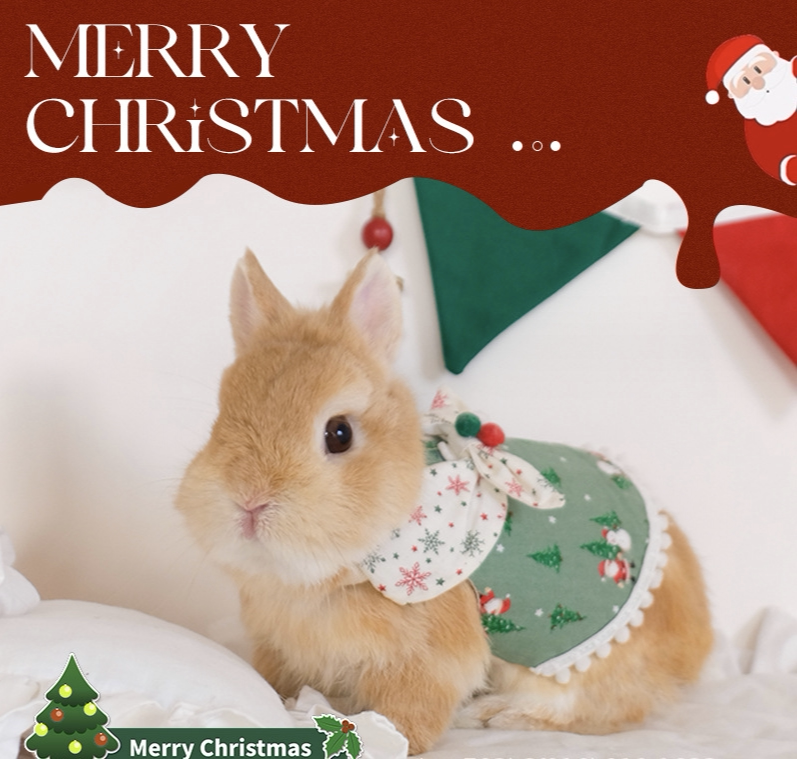 【兔子林】兔兔圣诞小披风可爱兔子外装服装牵引绳宠物衣服垂耳兔