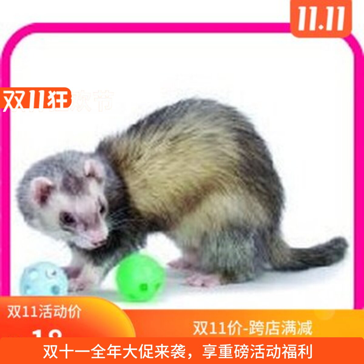 兔子林-美国玛雪儿雪貂 球铃玩具球 （雪貂玩具）包邮现货