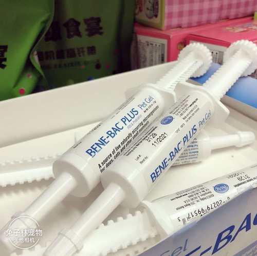 兔子帮你壮益生菌肠胃龙猫专用