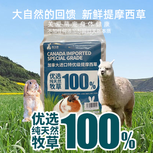 470g 一番进口加提 兔子林 加拿大进口特优级SP提摩西草磨牙草