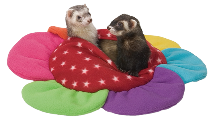 兔子林-正品玛雪儿太阳花游戏毯 雪貂玩具睡窝 保暖窝包邮