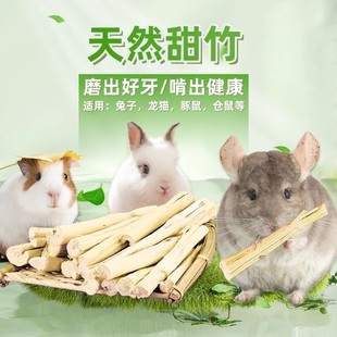健康 高纤维磨牙咬木枝甜竹大包 兔子林 兔子龙猫小宠磨牙效果佳