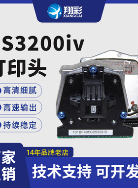 翔彩适用得实打印机头DS3200IV DS400 DS2600II DS300打印头 DS650 AR550针头 DS1100II 1700II  SK820打印头
