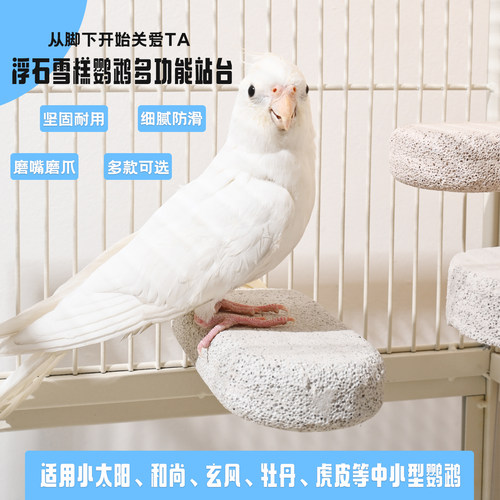 鹦鹉雪糕站台磨牙玩具