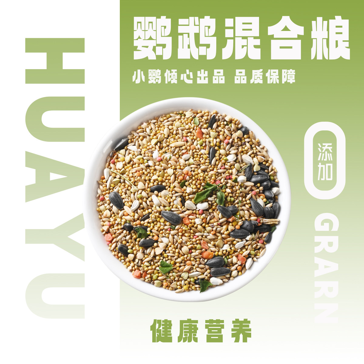 高油料高营养繁殖用多出小鸟