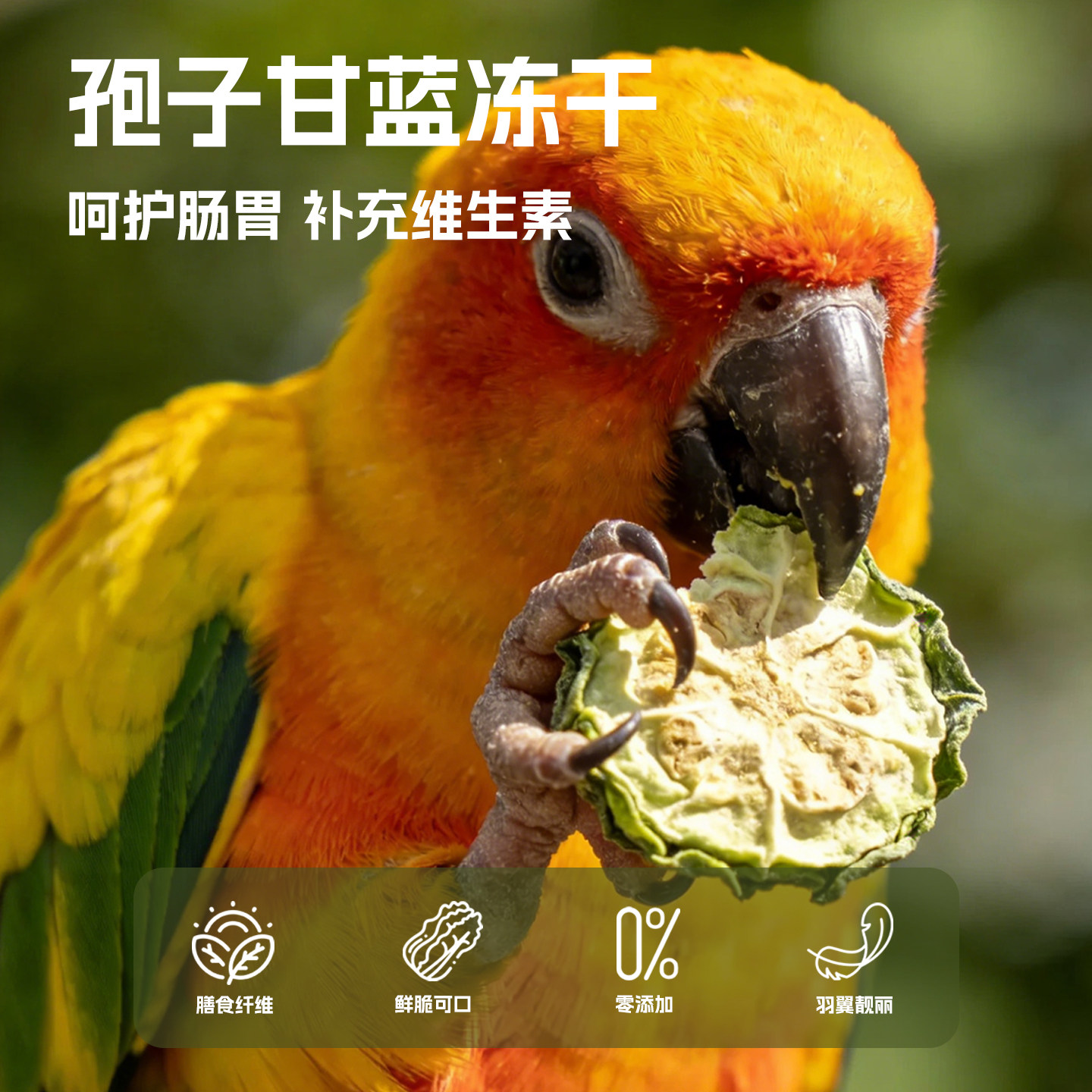 鹦鹉零食冻干蔬菜孢子甘蓝训练奖励鸟食玄凤牡丹虎皮饲料啃咬磨牙,宠物/宠物食品及用品,鸟零食,淘宝优惠券,粉丝福利购,淘宝优惠卷