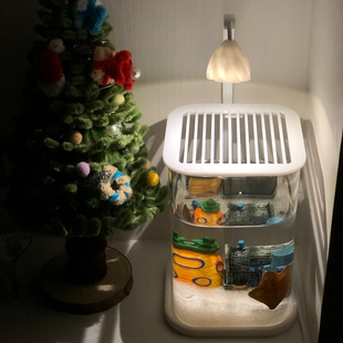 斗鱼海星水母海葵海藻球小丑鱼专用缸小型玻璃创意摆件桌面生态缸