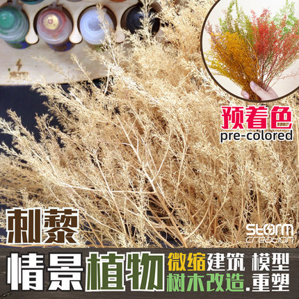 刺藜 荷兰干燥花树木铁道模型灌木枯草 火车兵人地台建筑沙盘情景