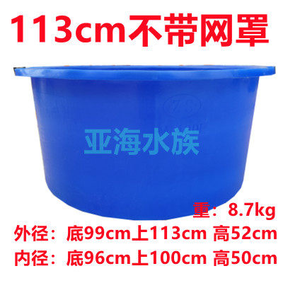锦鲤专用蓝盆圆盆暂养拍照