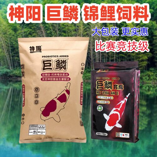 神阳巨鳞锦鲤饲料巨鳞三色专业