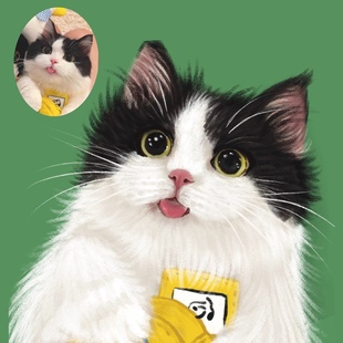 手绘宠物头像q版 画肖像卡通漫画画像定制猫猫咪狗狗绘画周边设计