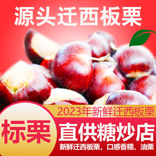 板栗新货唐山迁西板栗野生油栗燕山生栗子新鲜毛栗子大粒粟子