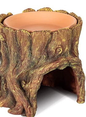 花园树桩摆件家居庭院宠物蜥蜴窝