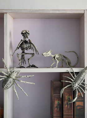 万圣节动物骷髅骨架摆件