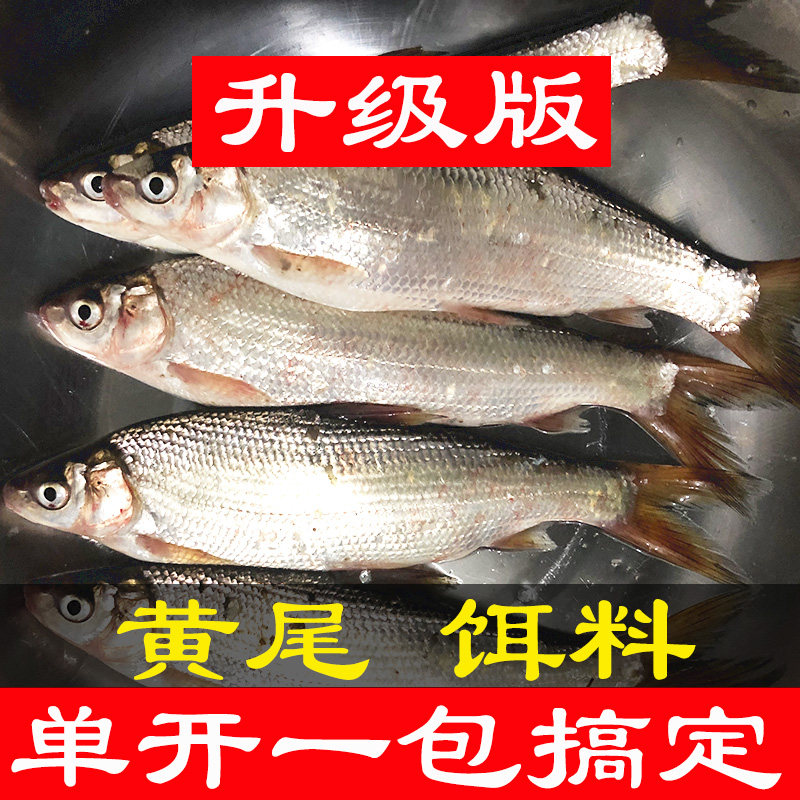 野钓黄尾饵料升级版配方单开黄尾青尾专用拉饵溪流青尾花骨鱼饵料