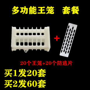 蜂王笼多功能塑料蜜蜂囚王笼中蜂专用关王防逃片蜂具包邮养蜂工具