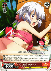 WS 黑白双翼 卡牌 战姬绝唱G 水着のクリス RR
