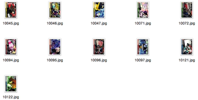 bushiroad女神异闻录5黑白双翼