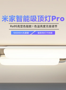 主灯可声控米家智能吸顶灯