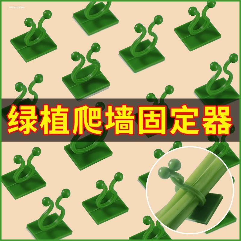 绿箩爬上神器爬藤杆爬墙固定器挂钩绿萝藤蔓夹扣卡扣子长藤营养液