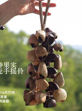 天然手工果壳挂铃种子音疗愈手摇