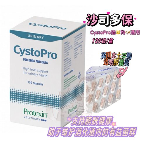 英国沙司多保猫狗膀胱结石尿闭