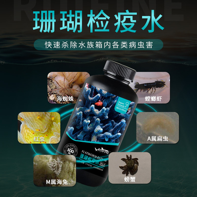 RUIFINE 瑞丰 珊瑚检疫水高效杀灭扁虫红虫海兔海蜘蛛SPS检疫水