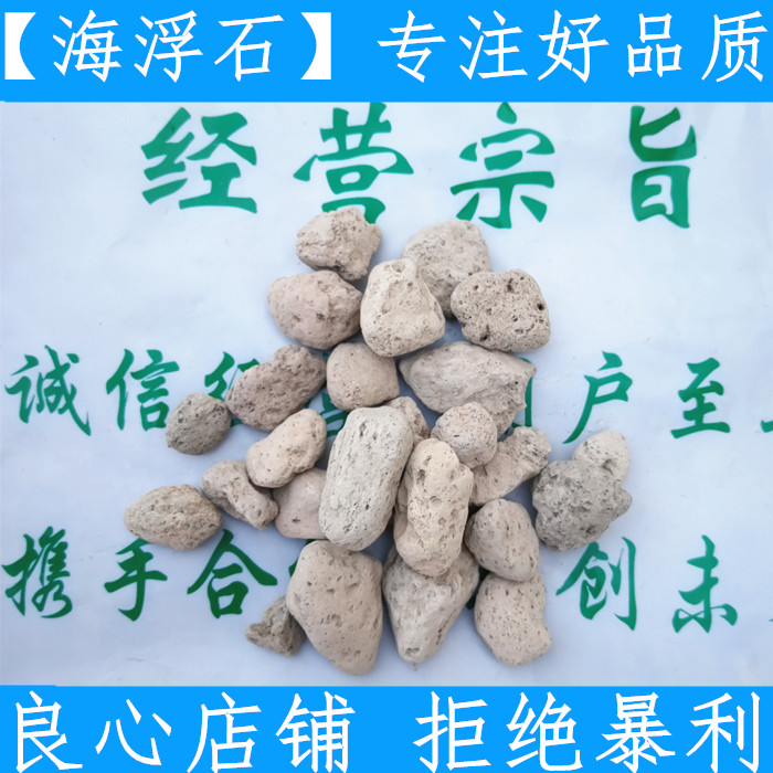 原料海浮石中药材