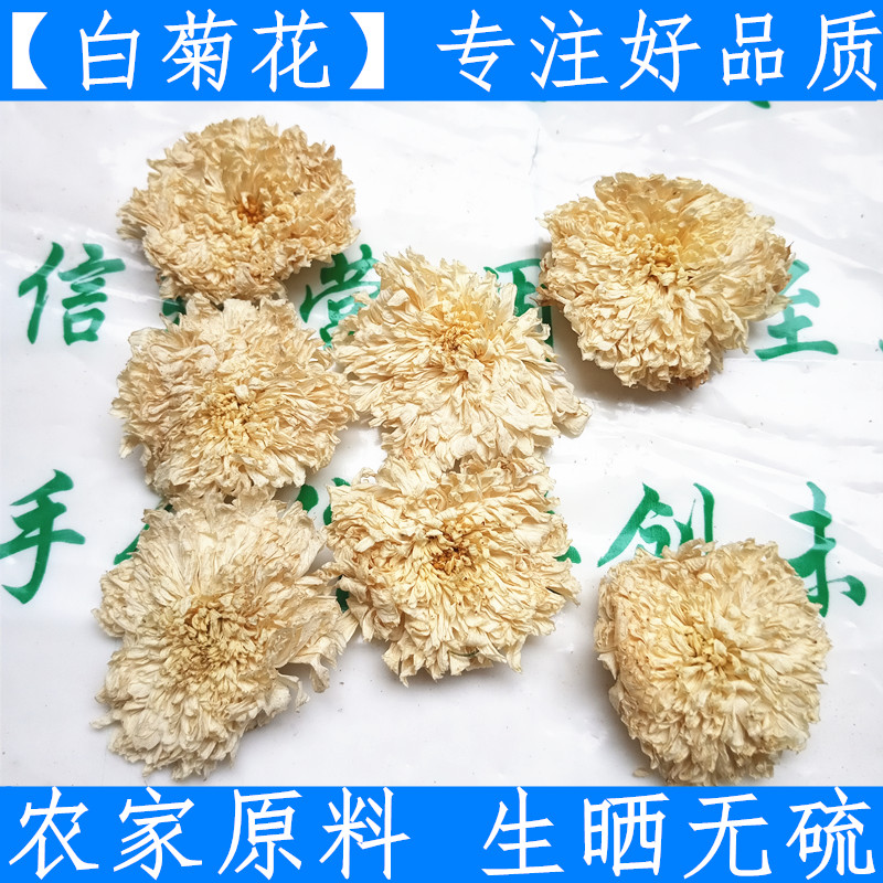 菊花原料特级新鲜胎菊王