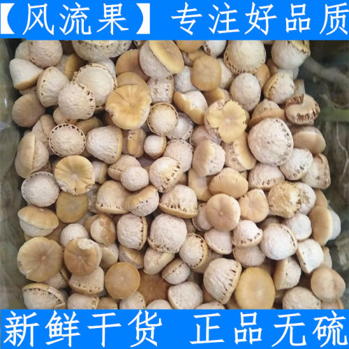 原料中药材风流果 优质西藏风流果 优质新鲜干货 500克正品原料