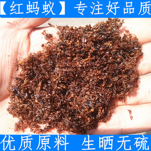 蚂蚁长白山优质红蚂蚁干 中药材东北大蚂蚁250克新鲜干货支持验货