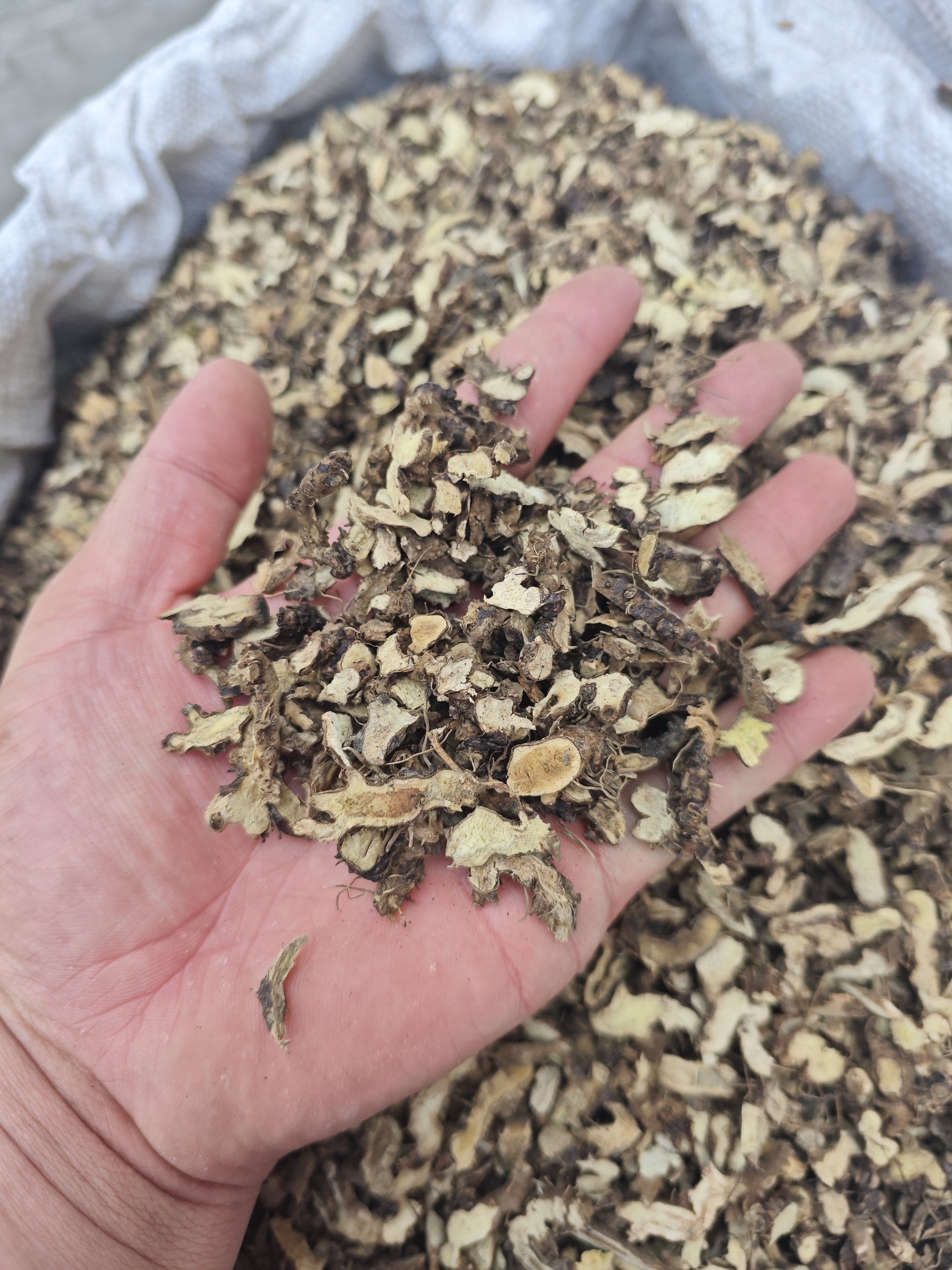 原料淫羊藿仙灵脾中药材