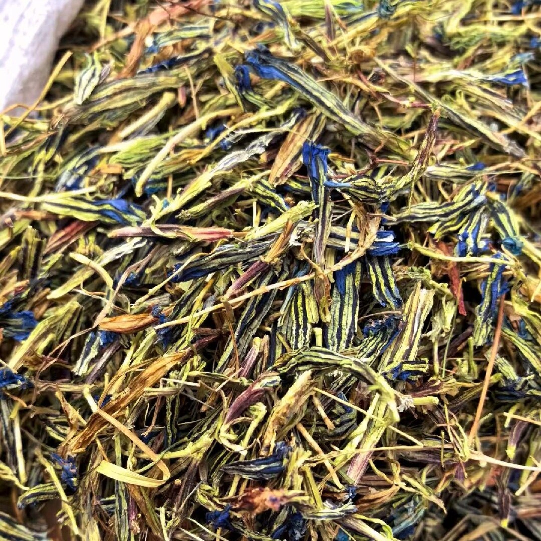 龙胆花 西藏雪域高原龙胆草花 农家干货 无硫熏 哀牢山山货