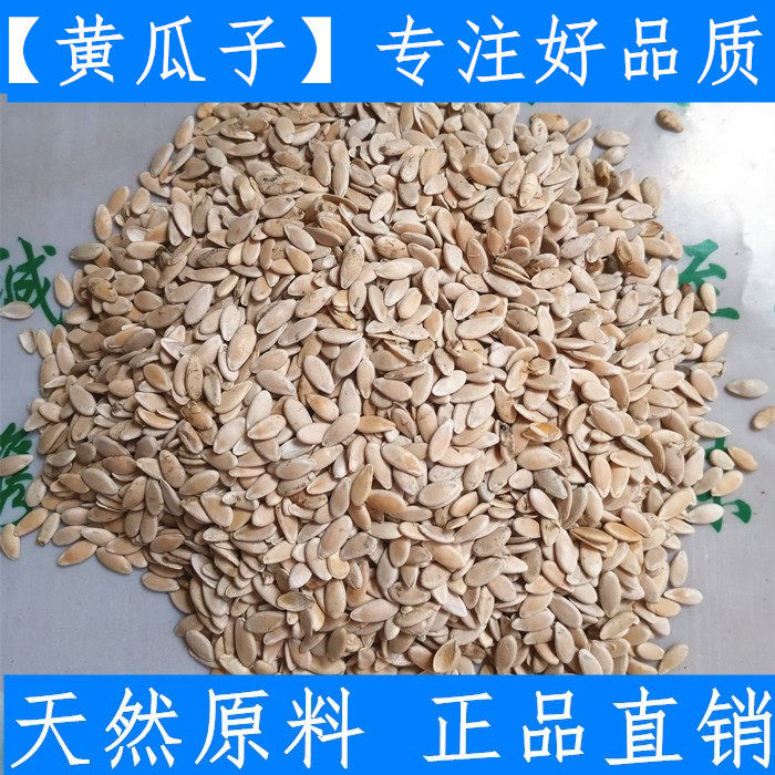 黄瓜籽 东北老旱黄瓜子500g克 新鲜干货 纯净 另售甜瓜籽 甜瓜子