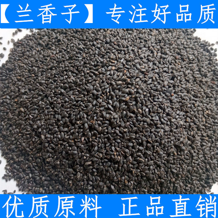 优质正品兰香子500g 明列子 罗勒籽  新鲜干货一斤 农家原料特价