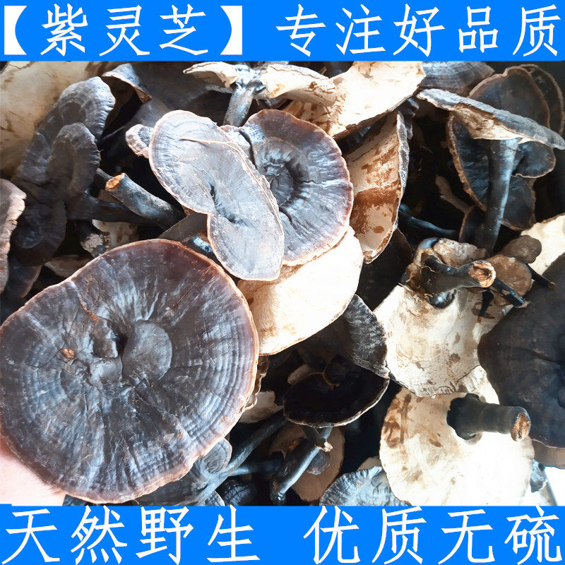 吉林深山紫灵芝 纯黑灵芝灵芝整枝新鲜干货优质无硫500克