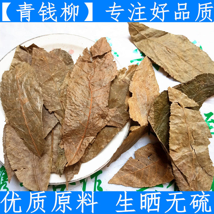 原料张家界养生新鲜金钱柳
